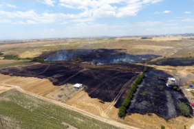 Buğday tarlasına sıçrayan yangında 10 dönüm alan zarar g.