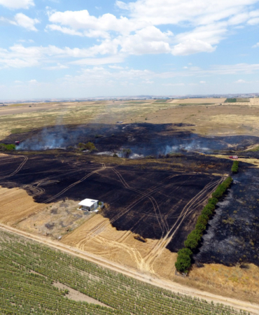 Buğday tarlasına sıçrayan yangında 10 dönüm alan zarar g.