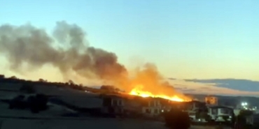 Düğünde atılan havai fişek, ekili buğday tarlasını yakt.