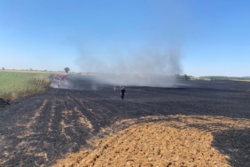 Edirne'de 40 dönüm buğday tarlası yandı