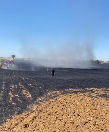 Edirne'de 40 dönüm buğday tarlası yandı