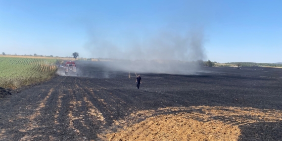 Edirne'de 40 dönüm buğday tarlası yandı