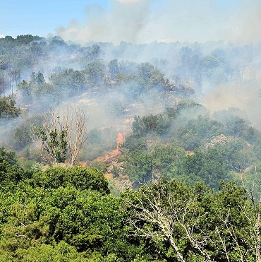 EDIRNEDE-ORMAN-YANGINI_785595_232436