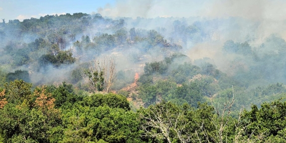 EDIRNEDE-ORMAN-YANGINI_785595_232436