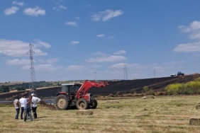 Malkara'da 100 dönüm buğday tarlası yandı