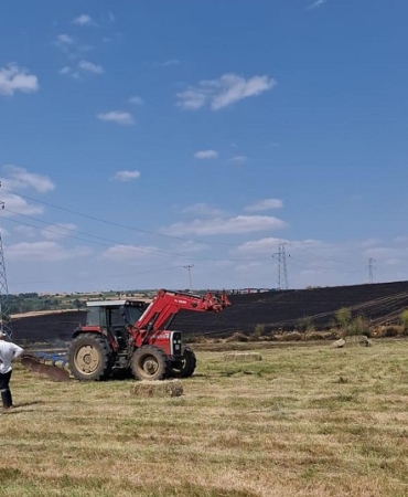 Malkara'da 100 dönüm buğday tarlası yandı