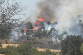 Saros’ta çıkan tarla ve orman yangınıyla ilgili savcılı.