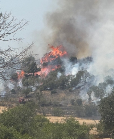 Saros’ta çıkan tarla ve orman yangınıyla ilgili savcılı.