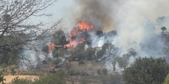Saros’ta çıkan tarla ve orman yangınıyla ilgili savcılı.