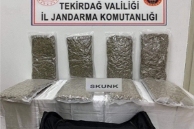 Tekirdağ'da 22 kilo skunk ele geçirildi
