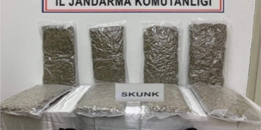 Tekirdağ'da 22 kilo skunk ele geçirildi