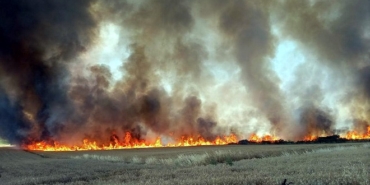 Tekirdağ'da 300 dönüm buğday tarlası yandı