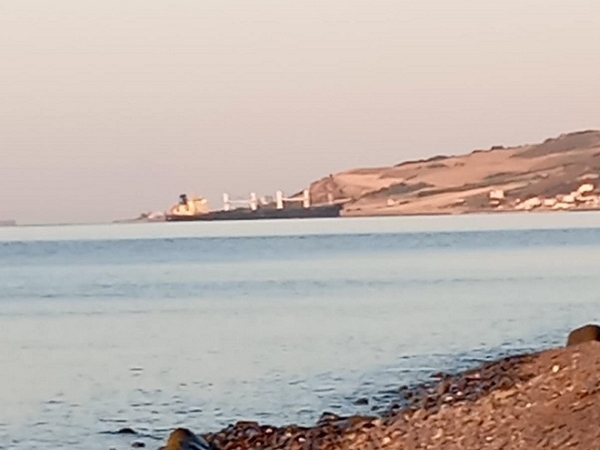 Tekirdağ'da kuru yük gemisi karaya oturdu