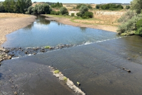 Edirne Tarım ve Orman Müdürü Bayazıt’tan Tunca Nehri'nde
