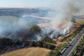 Edirne’de anız yangını; Hamzabeyli Sınır Kapısı’na gi