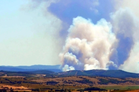 Edirne'de orman yangını