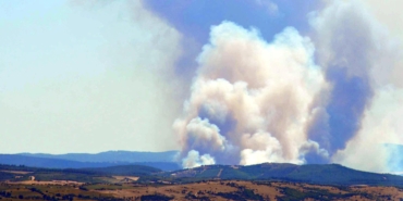 Edirne'de orman yangını