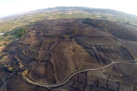 Edirne’deki orman yangınında zarar gören alanlar havadan g.