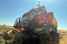 Tekirdag'da ağaca çarpan kamyonda 2 kişi yaralandı