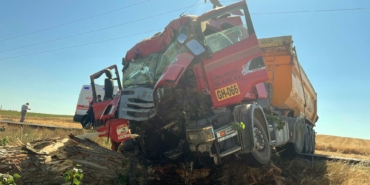 Tekirdag'da ağaca çarpan kamyonda 2 kişi yaralandı