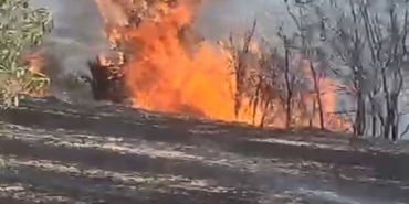 Tekirdağ’da anız yangınında 500 dönüm tarım arazisi zar