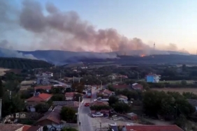 Tekirdağ'daki orman yangını 2'nci gününde