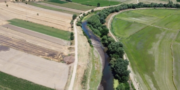 Tunca Nehri'nin kuruma noktasına geldiği Edirne’de çeltik