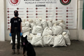 Kapıkule'de 245 kilo esrarı 'Füge' buldu