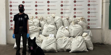 Kapıkule'de 245 kilo esrarı 'Füge' buldu