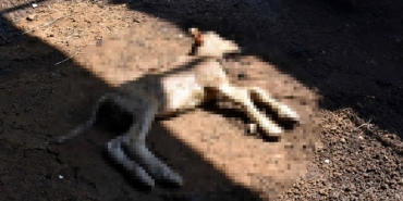 KIRKLARELI’DE-20-KUCUKBAS-YANGINDA-TELE_861514_255719