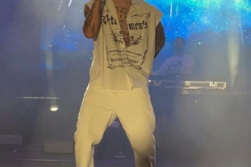 Rapçi Çakal, havalı tüfekle rastgele açılan ateş sonucu