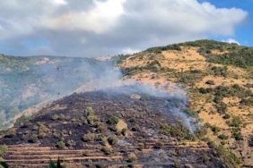 Tekirdağ'da makilik yangını, ormana sıçramadan söndürüld
