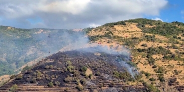 Tekirdağ'da makilik yangını, ormana sıçramadan söndürüld