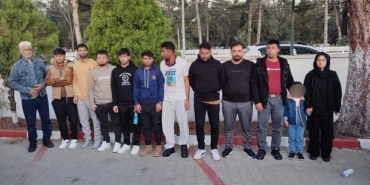 Edirne'de 12 kaçak göçmen yakalandı; 1 gözaltı