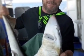 Balıkçı, ağına takılan camgöz köpek balığını yeniden