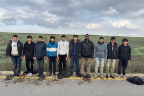 Edirne’de 10 kaçak göçmen yakalandı