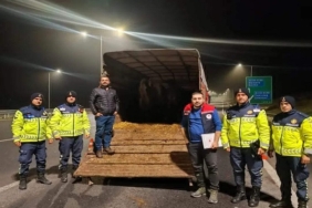 603890100_1449753557152096_8880232182242767236_n