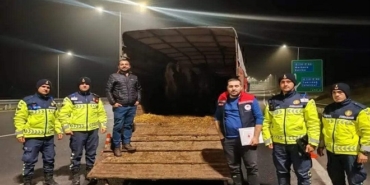 603890100_1449753557152096_8880232182242767236_n