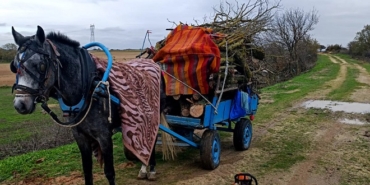 Meradan izinsiz ağaç kesen 2 şüpheli gözaltına alındı