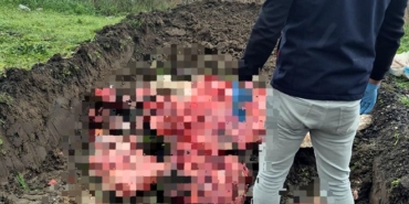 Tekirdağ'da menşei belli olmayan 1 ton hayvansal ürün imha