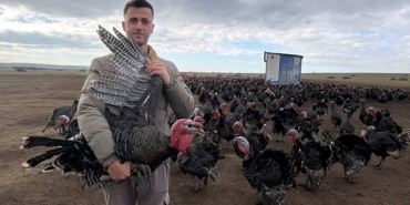 TEKIRDAGDA-YILBASI-ONCESI-HINDI-SATISLA_1084683_321938