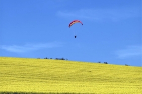 50961_manset