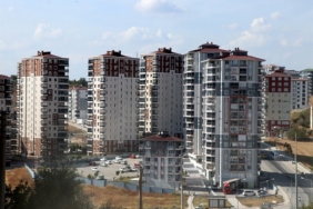 50961_manset