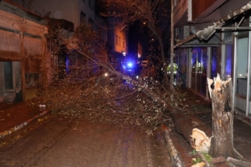 50961_manset