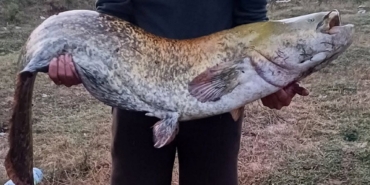 Amatör balıkçı oltayla 35 kilo yayın balığı yakaladı