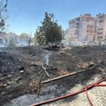 5055961_manset
