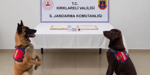 Cezaevine uyuşturucuyla girmeye çalışan hükümlü tutukland