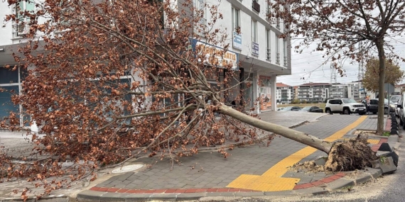 Tekirdağ'da fırtına; eğitim uçuşları iptal edildi, balık